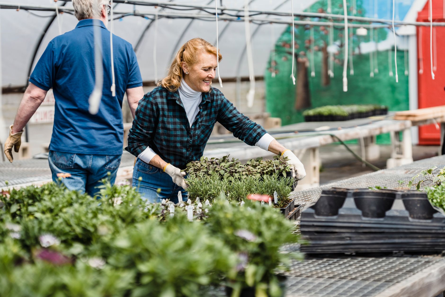 Locally Grown Plants